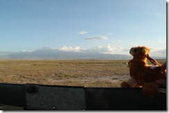 On safari in Amboseli