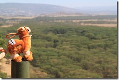 Lake Nakuru