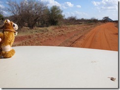 Tsavo West