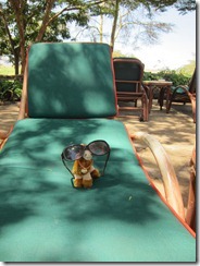 Relaxing in Amboseli